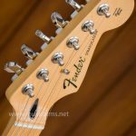 Fender Standard Stratocaster HSS headstock ขายราคาพิเศษ