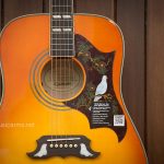 Epiphone - Dove Pro body ขายราคาพิเศษ