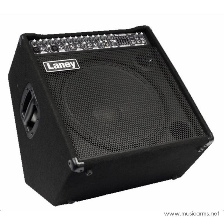 Laney AH300 ขายราคาพิเศษ