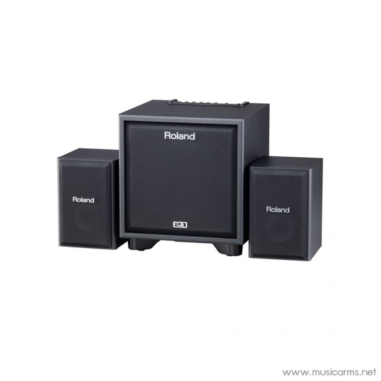 Face cover Roland-–-CM-110-CUBE-Monitor ขายราคาพิเศษ