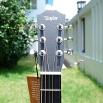 Taylor Swift Baby Taylor (TSBTe) Acoustic Guitar ขายราคาพิเศษ