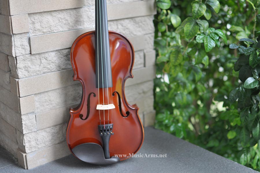 hofner violin