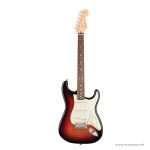 Fender-American-Professional-Stratocaster-1 ขายราคาพิเศษ