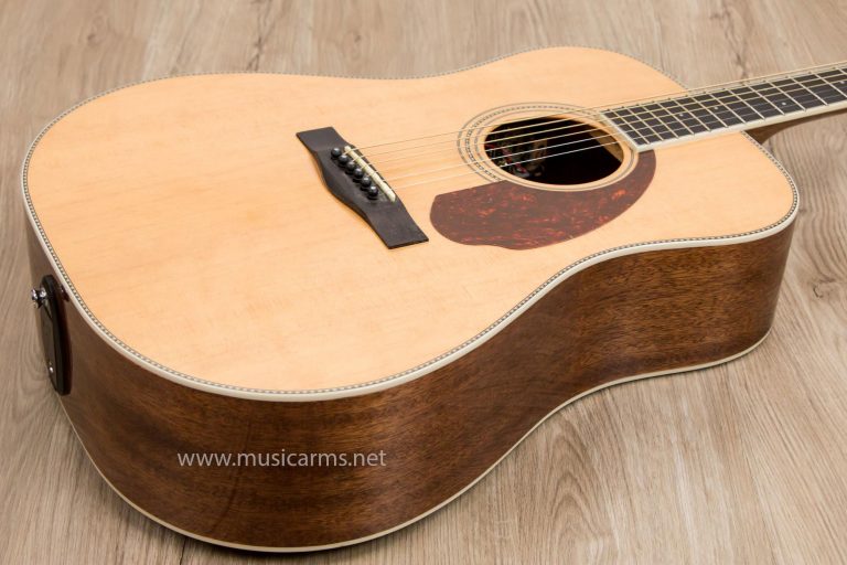 Fender PM-1 Standard Dreadnought ขายราคาพิเศษ