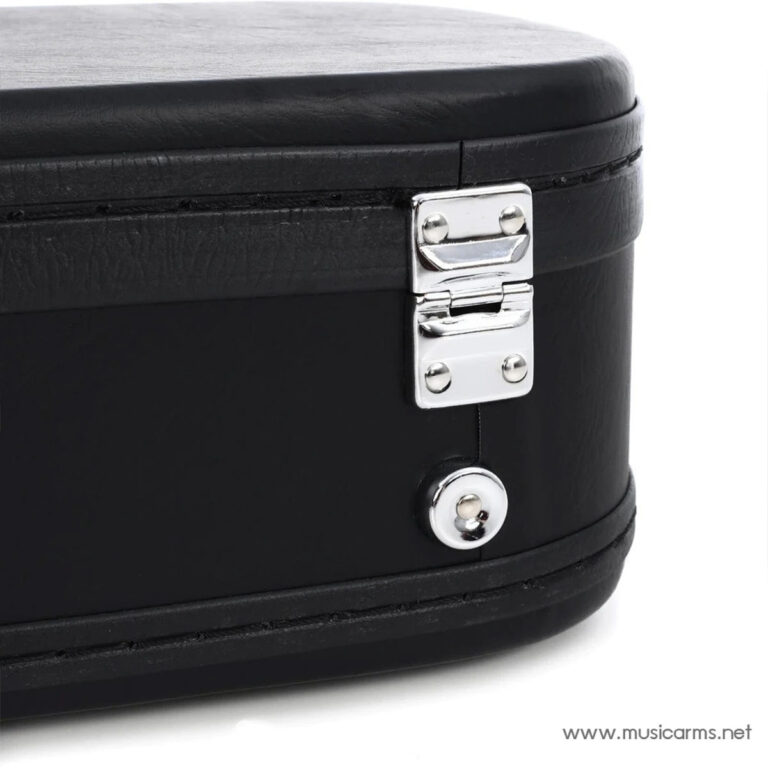 Epiphone ES-335 Hard Case ขายราคาพิเศษ