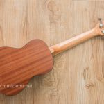 Cantavile Ukulele Soprano Mahogany ขายราคาพิเศษ