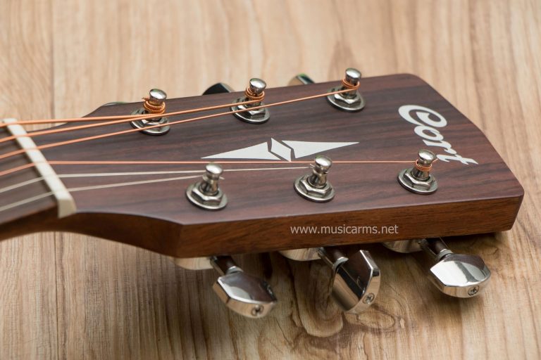 HEAD STOCK Cort EARTH-50 ขายราคาพิเศษ