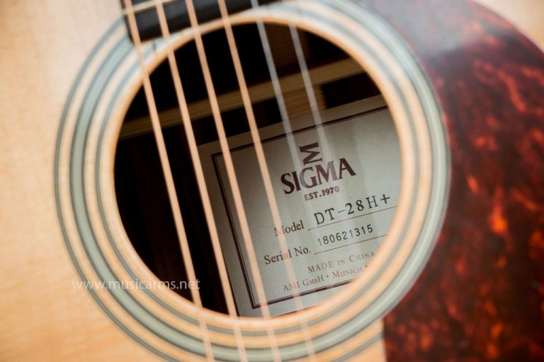 Sigma DT-28H Soundhole ขายราคาพิเศษ