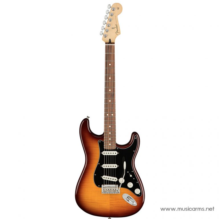 Face cover Fender Player Stratocaster Plus Top ขายราคาพิเศษ