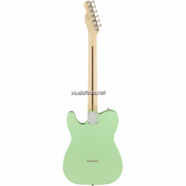 Fender American Performer Telecaster Hum หลังเขียว ขายราคาพิเศษ