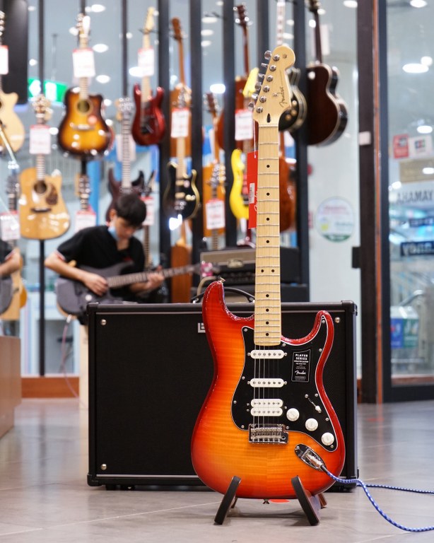 Showcase Fender Player Stratocaster Plus Top กีตาร์ไฟฟ้า