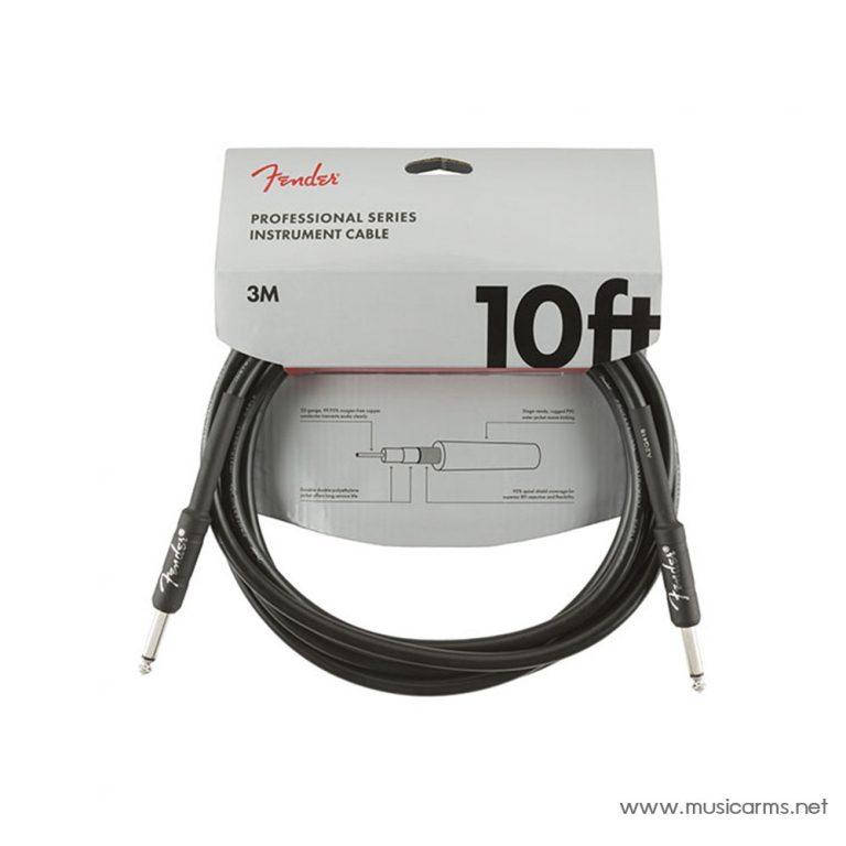 Fender Pro Series 10 Ft ขายราคาพิเศษ