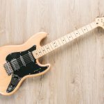 Fender The Sixty-Six ขายราคาพิเศษ