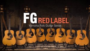 แนะนำ Yamaha FGX/FSX ซีรี่ย์ใหม่ ไม้แท้ทั้งตัวราคาถูกสุด