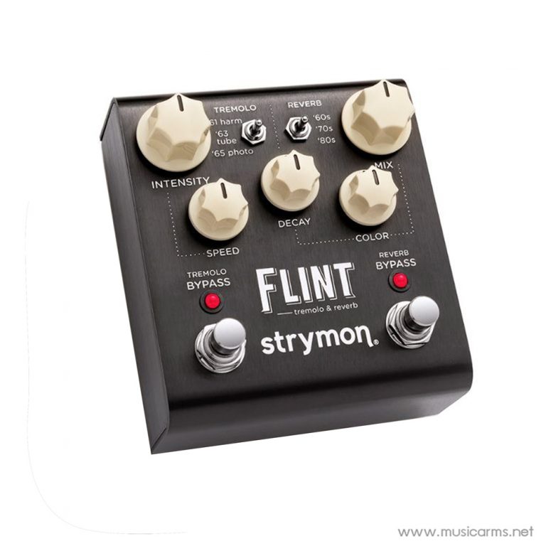 Strymon-Flint.jpg2 ขายราคาพิเศษ