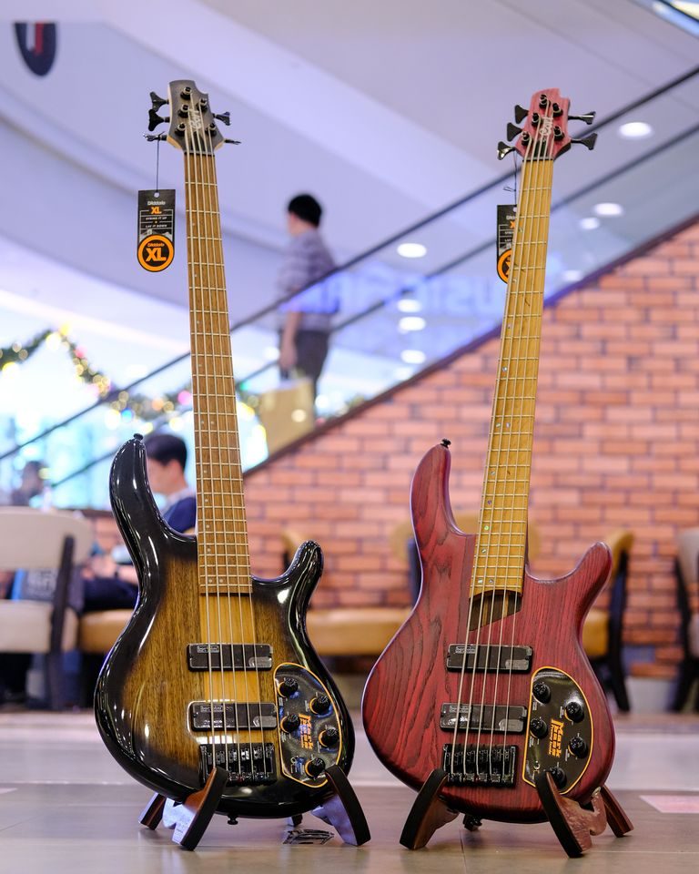 Showcase Cort B5 Plus ASRM