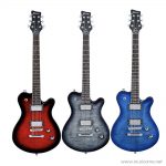 Framus-D-series-Panthera-Supreme ลดราคาพิเศษ