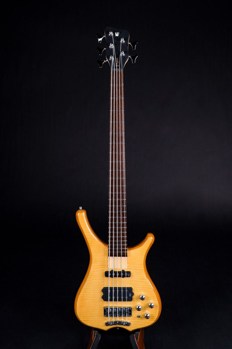 Warwick-Rockbass-infinity ขายราคาพิเศษ