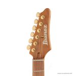 Ibanez-SLM10-Scott-LePage-Signature.3 ขายราคาพิเศษ