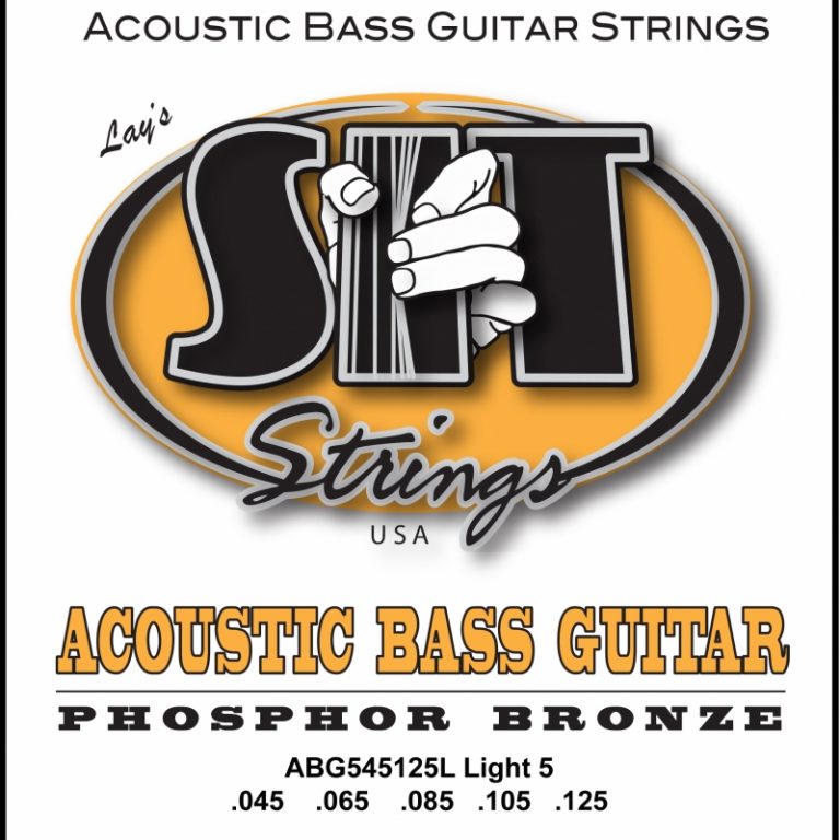 SIT 5-String ขายราคาพิเศษ