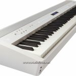 Roland FP-60 white ขายราคาพิเศษ