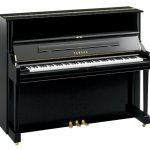 YAMAHA U1J PE ขายราคาพิเศษ