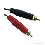 Protone-Twin RCA ขายราคาพิเศษ