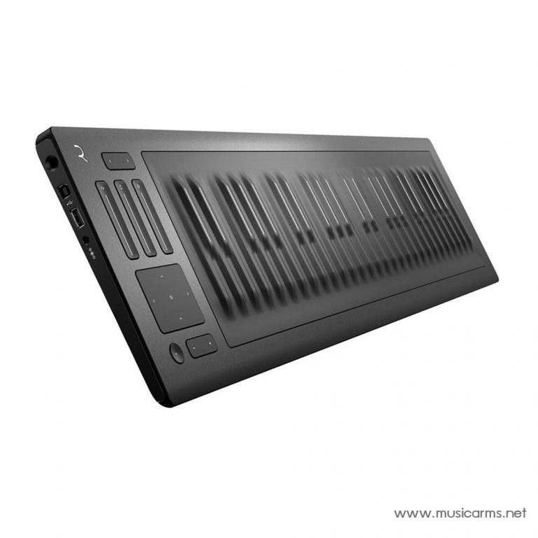 roli-seaboard-rise-25-front ขายราคาพิเศษ