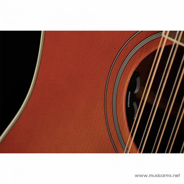 Epiphone Inspired by Gibson Hummingbird 12 Strings สาย ขายราคาพิเศษ