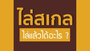 ไล่สเกล ไล่แล้วได้อะไร?ราคาถูกสุด