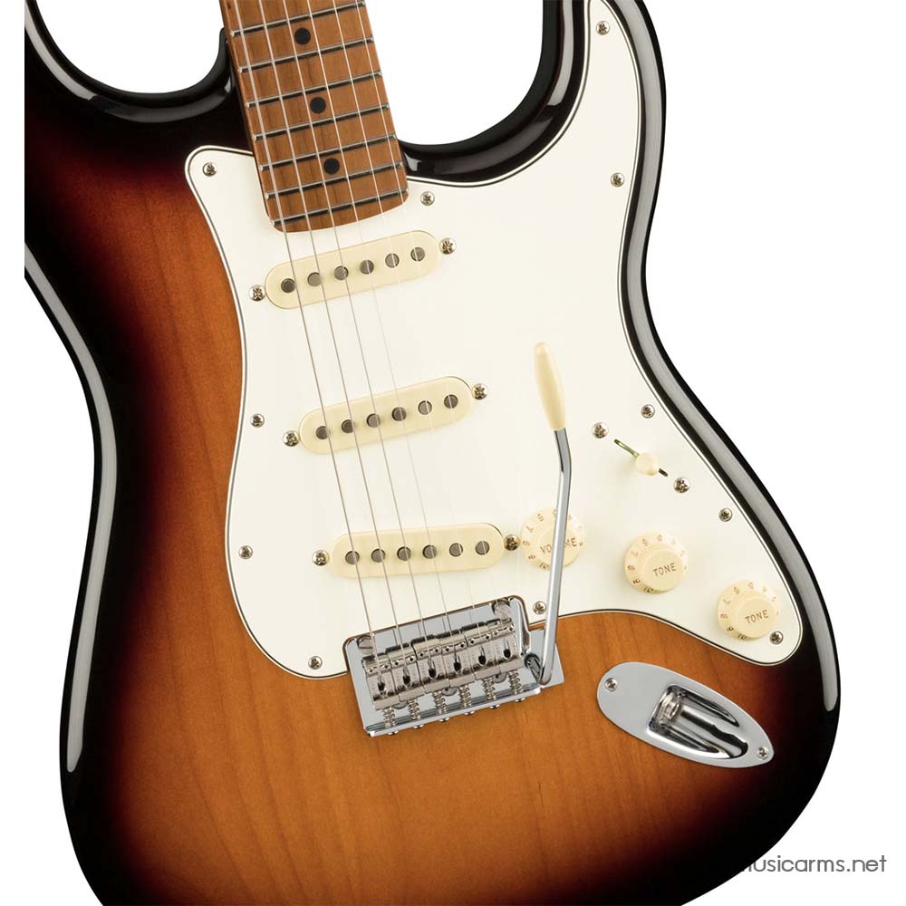 90s Fender USA Texas Special Strat PU - 器材
