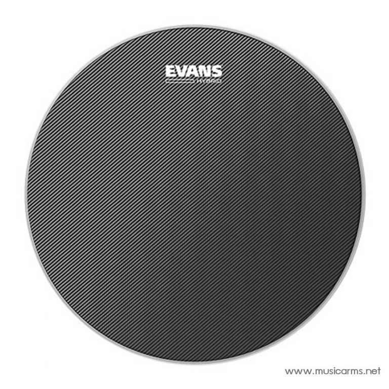 Evans SB14MGH ขายราคาพิเศษ