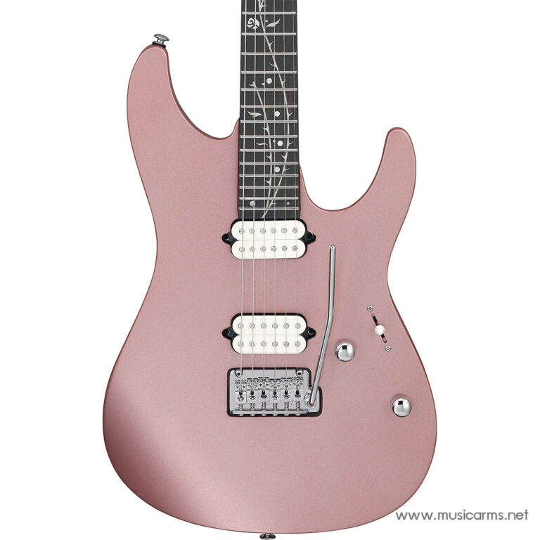 Ibanez TOD10 ขายราคาพิเศษ