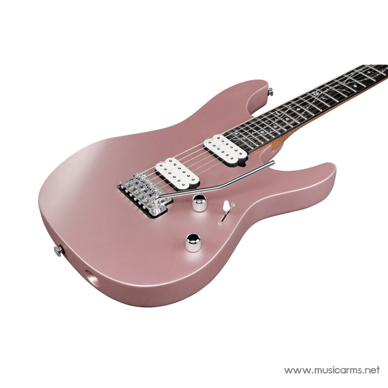 Ibanez TOD10 ขายราคาพิเศษ