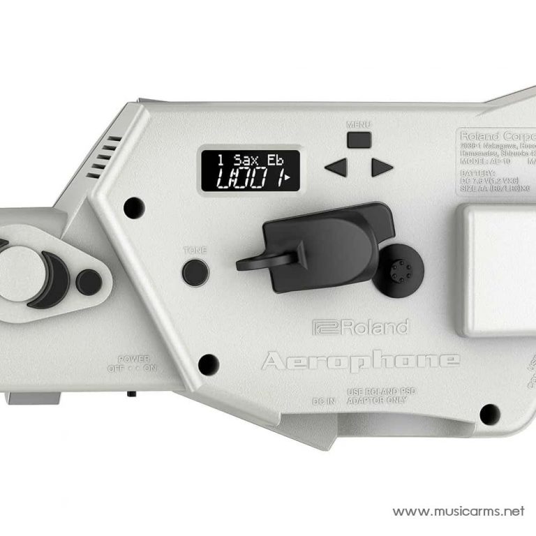 Roland AE-10 ขายราคาพิเศษ