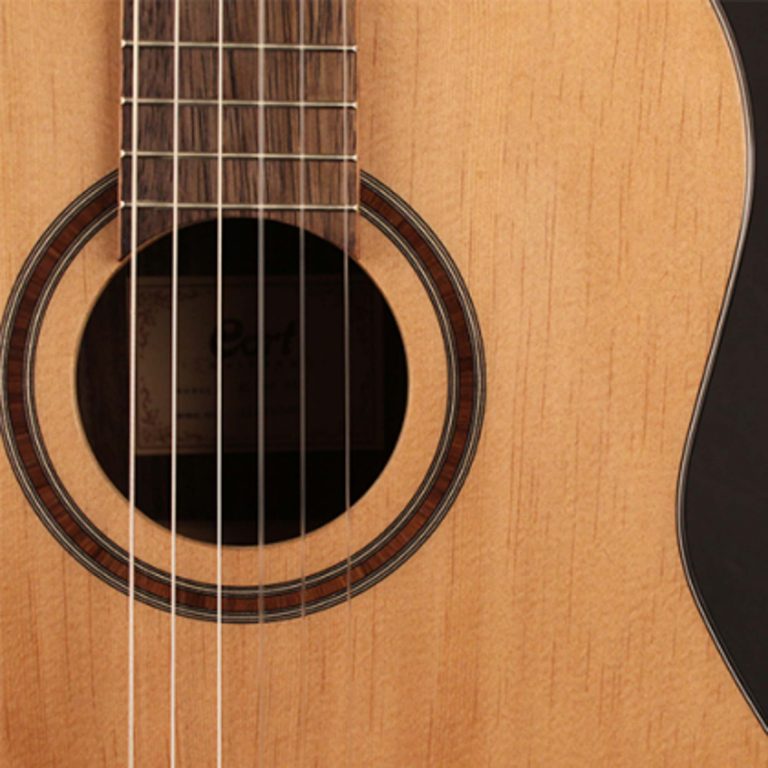 Cort AC160 soundhole ขายราคาพิเศษ