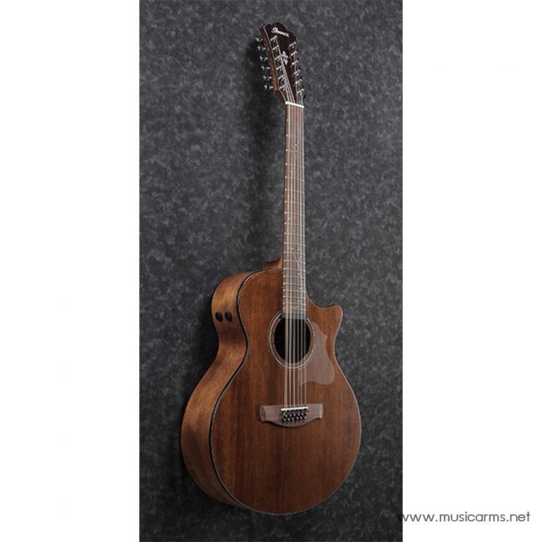 Ibanez AE2912 side ขายราคาพิเศษ