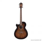 Ibanez AEG70L ลดราคาพิเศษ