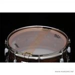 Tama Star Reserved Snare Brass Shell TLJC146 แส้ ขายราคาพิเศษ