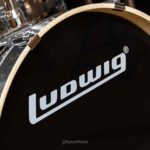 Ludwig Element Evolution 2023-2024 Model ขายราคาพิเศษ