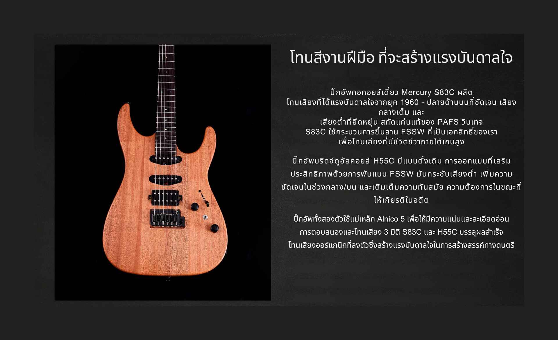 KEIPRO GUITARS Modern-R-Content-02