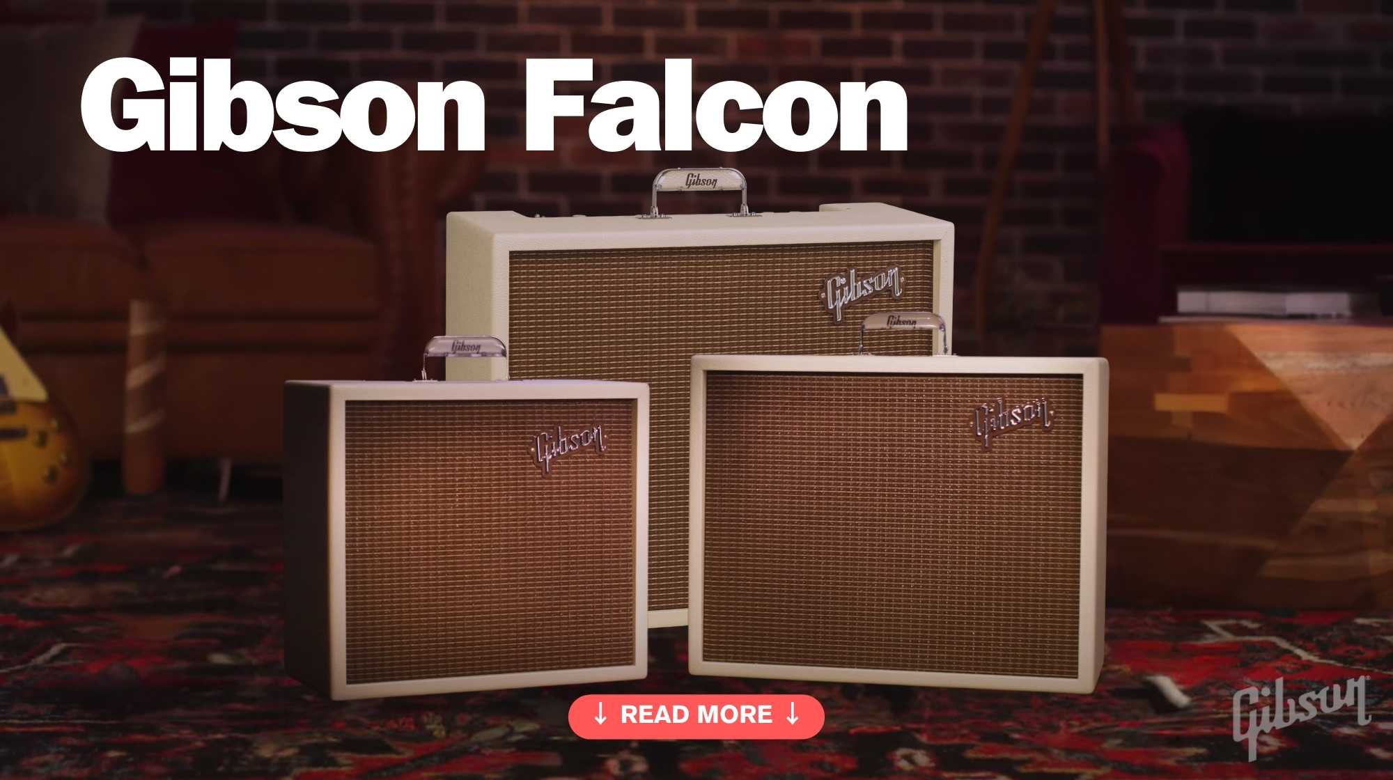 Gibson Falcon Series ปก
