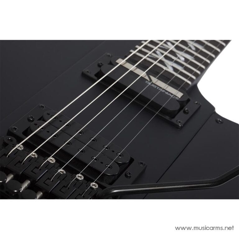 Schecter Riggs Ultra FR-S ขายราคาพิเศษ