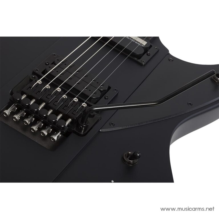 Schecter Riggs Ultra FR-S ขายราคาพิเศษ