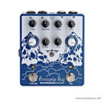 EarthQuaker Avalanche Run Stereo Delay V2 ลดราคาพิเศษ