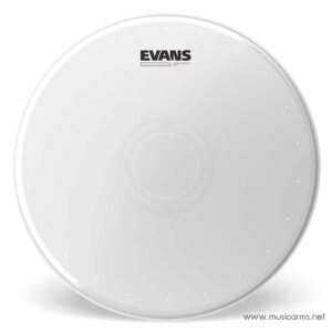 Evans Heavyweight Dry หนังกลองราคาถูกสุด