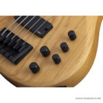 Schecter Riot seasion 5 ขายราคาพิเศษ