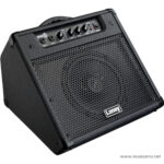 Laney DH40 ขายราคาพิเศษ