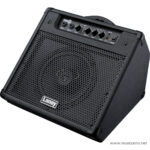 Laney DH40 ขายราคาพิเศษ