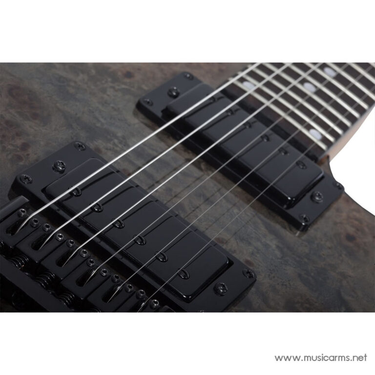 Schecter C-1 Standard ขายราคาพิเศษ